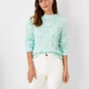 Shimmer Textured Tweed Sweater -Anntaylor Shop 602597 2438
