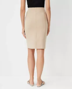 Seamed Pencil Skirt -Anntaylor Shop 607488 8187 ALT1