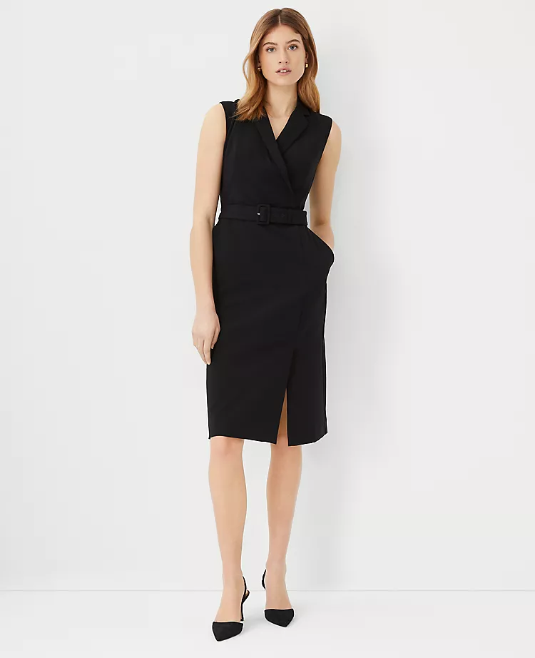 Belted Lapel Flare Dress 3 Belted Lapel Flare Dress