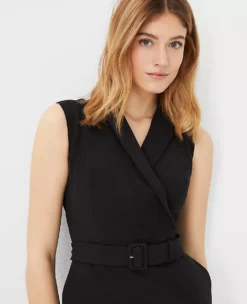 Belted Lapel Flare Dress 8 Belted Lapel Flare Dress -Anntaylor Shop 608067 2222 ALT2