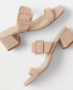 Suede Two Strap Buckle Sandals -Anntaylor Shop 608152 6418 ALT1