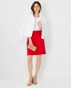 A-Line Pocket Skirt -Anntaylor Shop 609409 2570 ALT2