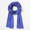 Embroidered Floral Scarf -Anntaylor Shop 610065 1680