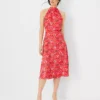 Petite Floral Tie Neck Flare Dress -Anntaylor Shop 611460 4021