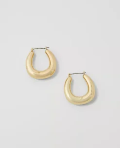 Chunky Hoop Earrings