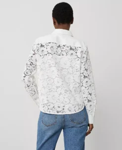 Petite Lace Shirt White 8 Petite Lace Shirt White -Anntaylor Shop 829881 9000 ALT1