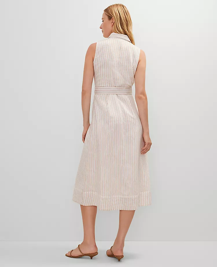 Striped Flare Midi Shirtdress Neutral Combo 4 Striped Flare Midi Shirtdress Neutral Combo - Image 2