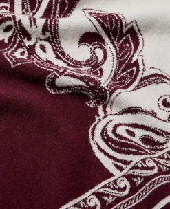 Paisley Wrap Poncho Poised Plum -Anntaylor Shop 846856 9536 ALT3