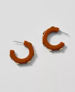 Studded Mini Hoop Earrings Spiced Cider