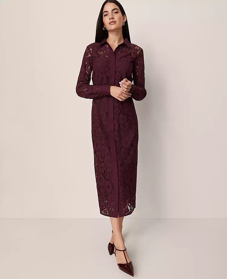 Belted Lace Midi Shirtdress Poised Plum 4 Belted Lace Midi Shirtdress Poised Plum - Image 2