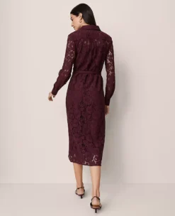Belted Lace Midi Shirtdress Poised Plum 7 Belted Lace Midi Shirtdress Poised Plum -Anntaylor Shop 850816 9536 ALT1