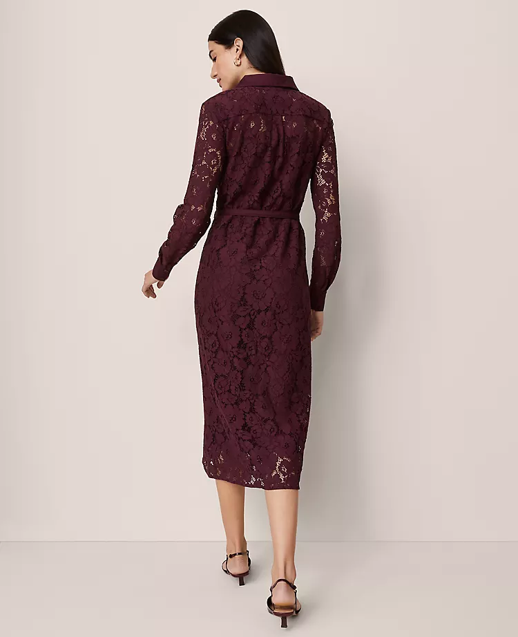 Belted Lace Midi Shirtdress Poised Plum 5 Belted Lace Midi Shirtdress Poised Plum - Image 3