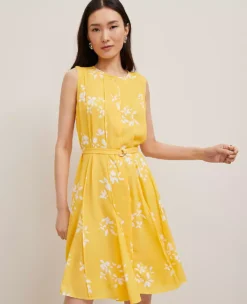 Petite Floral Belted Flare Dress Mimosa -Anntaylor Shop 851007 524102 ALT2