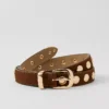 Suede Studded Belt Spice Brown -Anntaylor Shop 853216 7490