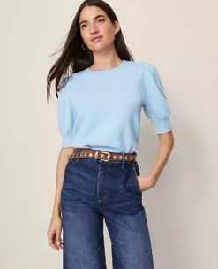 Petite Weekend Collection Ruched Sweater Tee Park Fountain